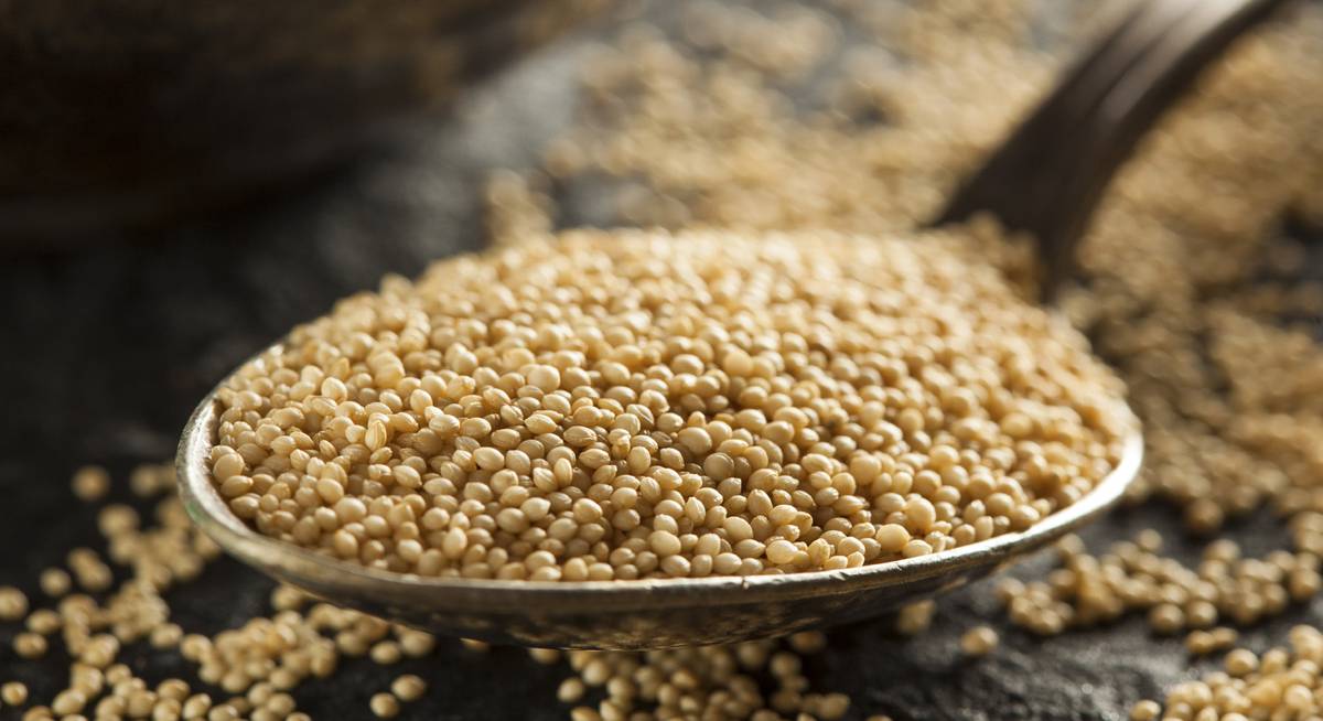 Spread from amaranth is rich in vitamins